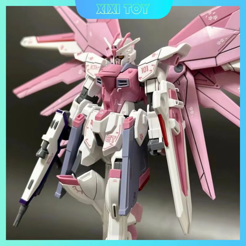 JMS HG 1/144 ZY-06 Freedom Ass - огляд і ціна Bandai Model Gundam Hg