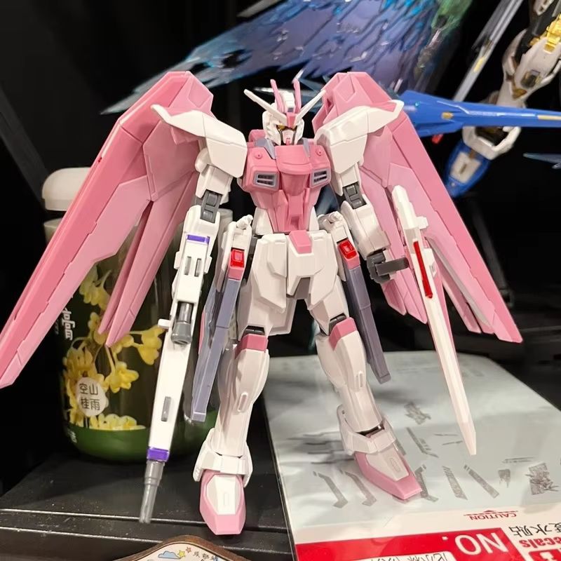 JMS HG 1/144 ZY-06 Freedom Ass - огляд і ціна Bandai Model Gundam Hg