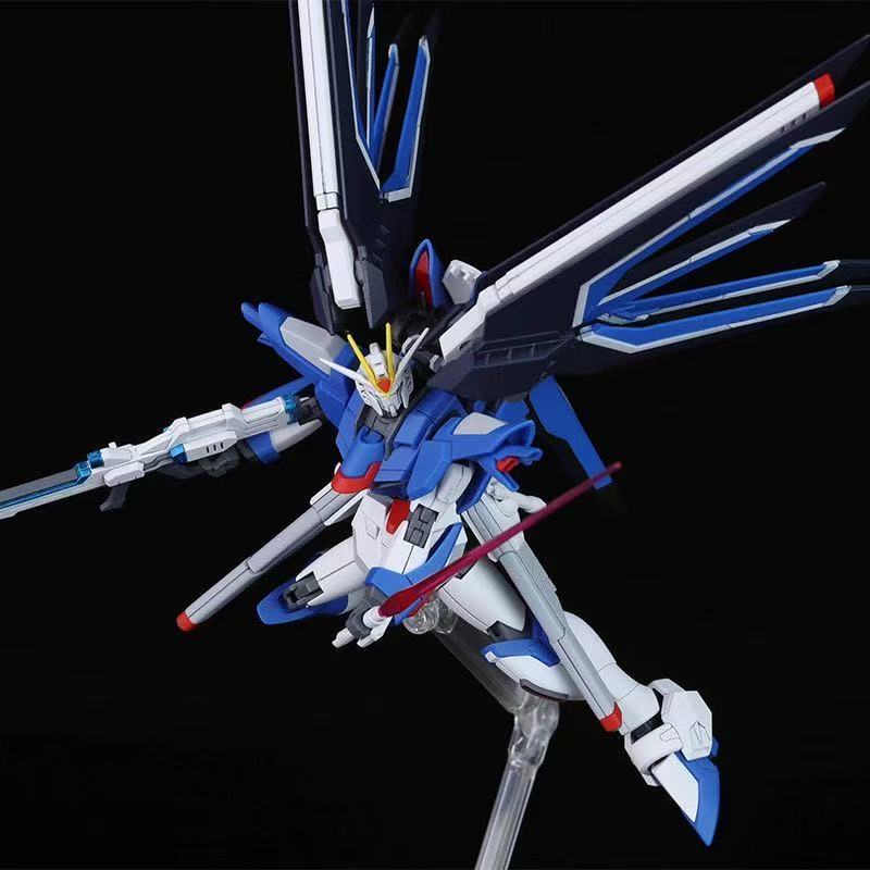 HG STTS-909 Rising Freedom Gun - огляд і ціна Bandai Model Gundam Hg